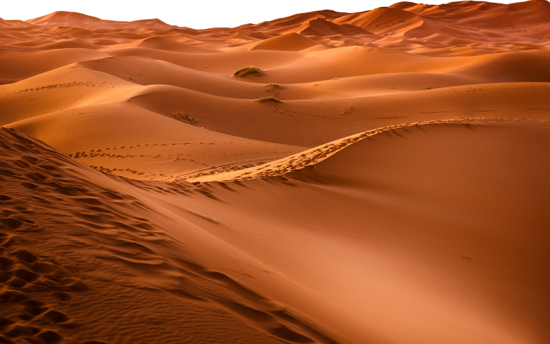 Desert landscape